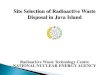 Site Selection of Radioactive Waste Disposal in Java Island