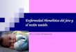Enfermedad hemolítica del feto y el recién nacido