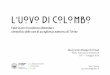 L’Uovo di Colombo: valorizzare l’eccedenza alimentare a beneficio delle case di accoglienza notturna di Torino