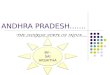 Andhra pradesh-The state of sunshine