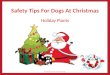 BTD - Safety Tips 4 Dogs Christmas 04