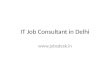 It job consultant in delhi