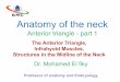 Anterior  triangle of the neck part 1