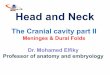 Cranial cavity part 2