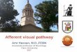 Afferent visual pathway