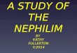 Nephilim Study- "As it was in the days of Noah..."