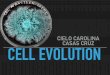 Cell evolution
