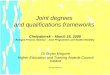 Joint degrees and q frameworks chelyabinsk 16.iii.09