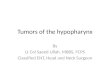 Tumors of the hypopharynx