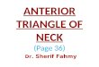 Carotid Triangle (Anatomy of the Neck)