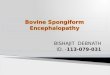 Bovine spongiform encephalopathy by bishajit