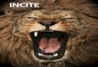 Successful direct mail campaigns from INCITE – Vol.6 | Canada Post