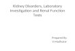 Kidney disorders, Laboratory Investigation and Renal Function Tests