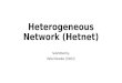 Heterogeneous network (hetnet)