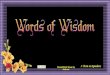 Words of Wisdom - widescreen