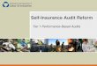 Self-Insurance Audit Reform Goals