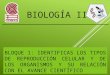 Estructuras químicas y biológicas involucradas en la reproducción celular