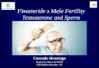 Finasteride and male fertility and testosterone - Aula Sociedade Brasileira de Dermatologia SP - grupo de cabelos