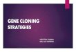 Gene cloning strategies