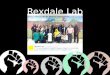 Rexdale Lab by Salomeh Ahmadi