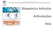 Bioquímica Articular, Articulações e Pele