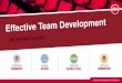 Executive Director Essentials: Effective Team Development