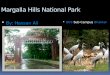 Margalla hils national park