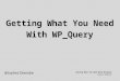 Working with WP_Query in WordPress