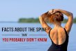 Facts About The Spine That You Probably Didn’t Know