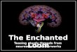 The Enchanted Loom reviews Dean Burnett's book, Idiot Brain