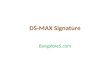 DS-MAX Signature