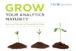 Grow your analytics maturity