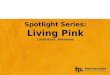 Living Pink | Advertising Agency Software