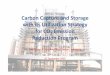 CO2 Capture and Storage (CCS) Model PTKS