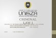 Criminal Law 1 - Punishment and Illegal Omission