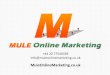 Mule Online Marketing Optometrists PowerPoint