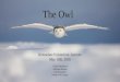 The Owl - Final Presentation