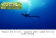Hawaii eco divers – explore under water life by scuba diving