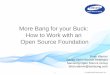More Bang for Your Buck: How to Work with an Open Source Foundation