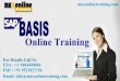 Sap basics online training from basic level