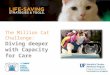 Diving Deeper into the Million Cat Challenge:  Capacity for Care