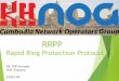 Rapid Ring Protection Protocol (RRPP)