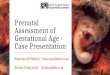 Prenatal Assessment of Gestational Age - Case Presentation
