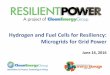 Hydrogen and Fuel Cells for Resiliency: Microgrids for Grid Power