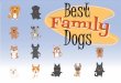 Best Family Dogs and Getting Vet Help with Personal Installment Loans