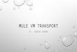 Mule VM Transport