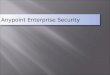 Anypoint enterprise security