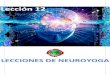 Neuroyoga -  Lección 12 - Incrementa tu IQ con neurofeedback