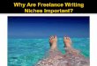 Why Are Freelance Writing Niches Important?