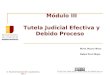 ENJ-100 Derecho Constitucional - Módulo III: Tutela judicial efectiva y debido proceso - Especialidad en Redacción Expositiva y Argumentativa de las Decisiones Judiciales